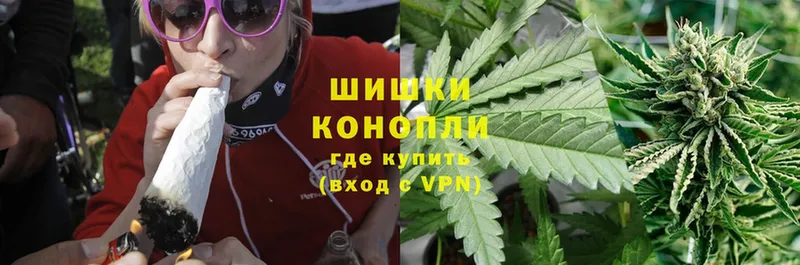 Бошки марихуана SATIVA & INDICA  darknet телеграм  Плавск  магазин продажи наркотиков 